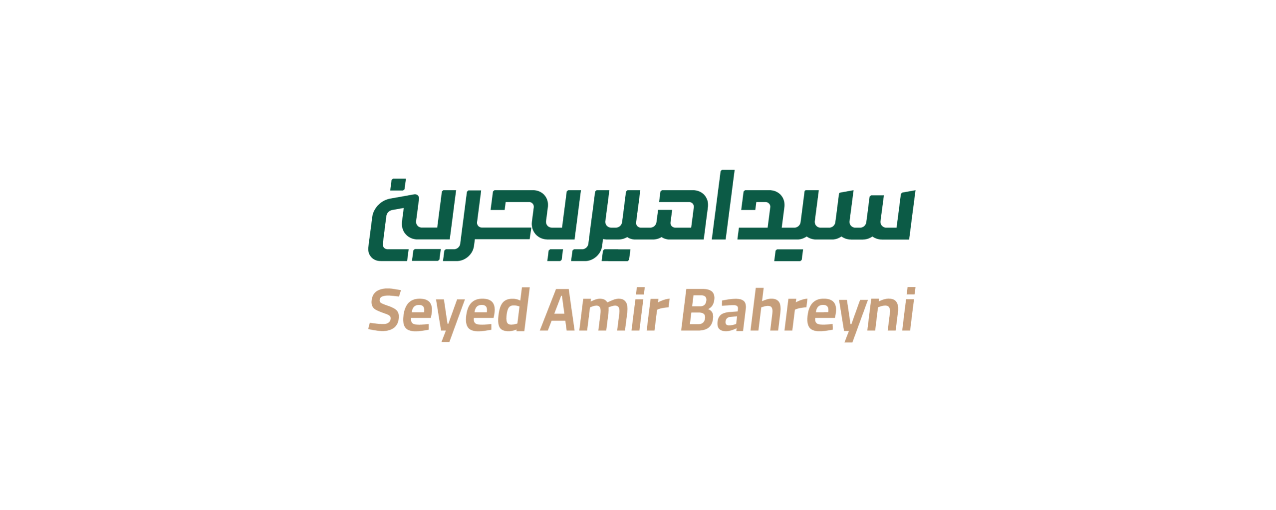 سید امیر بحرینی